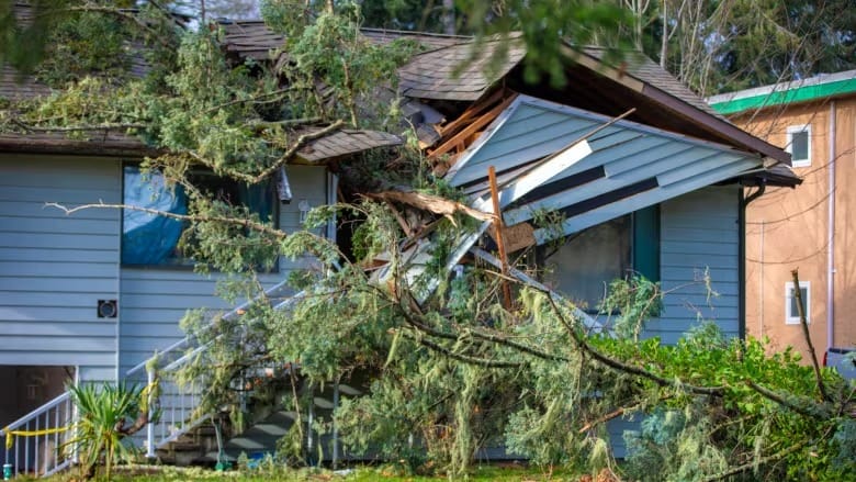 Incoming storm expected to hit B.C. coast with gusts up to 110 km/h