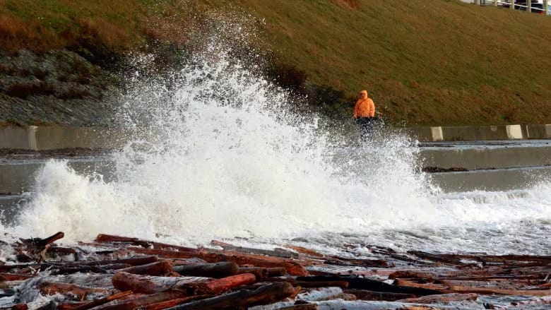 Another storm approaches Vancouver Island as crews finish restoring power to thousands