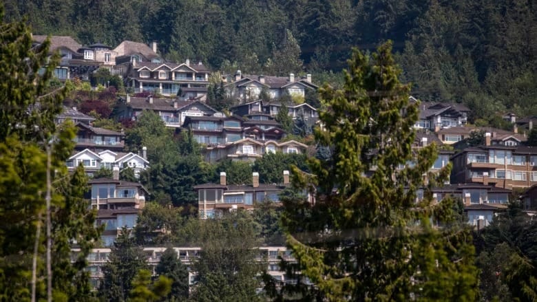 How big of a deal is home flipping in B.C.?