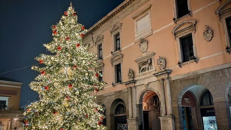 Why Christmas trees in Europe are so much cheaper than in Canada