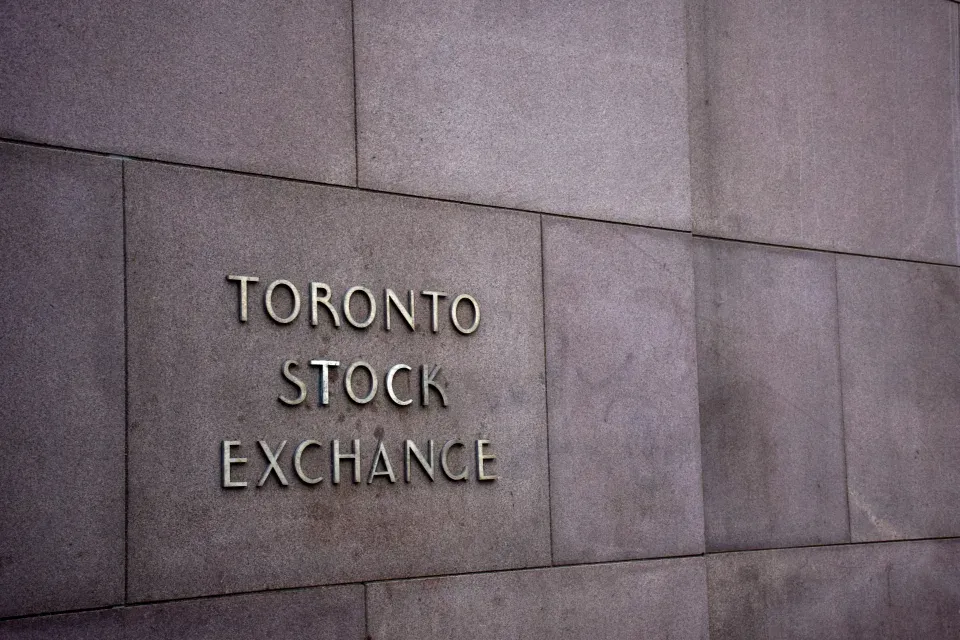 U.S. markets to lead the way in 2025, but Canadian stocks will 'do just fine': Mackenzie Investments