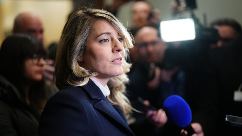 Foreign Affairs Minister Melanie Joly will not seek Liberal leadership