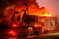 Los Angeles fires still untamed, at least 10 dead post image